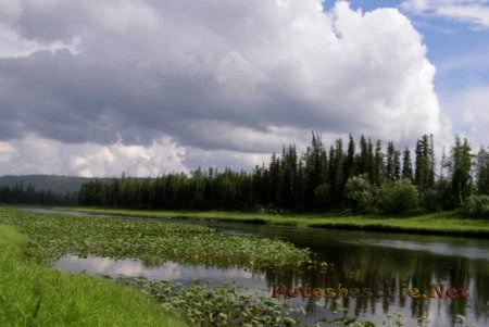 Красноярский край Тунгусский заповедник Красноярский край Тунгусский заповедник