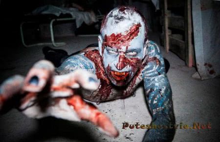 Экскурсия в зомбо-зону Экскурсия в зомбо-зону