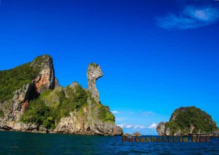 Экскурсия-приключение на необитаемом острове Экскурсия-приключение на необитаемом острове