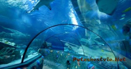 Интересные аквариумы Италии