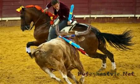 Португальские бои быков