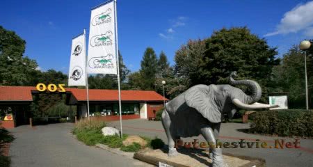 Зоопарк в городе Острава