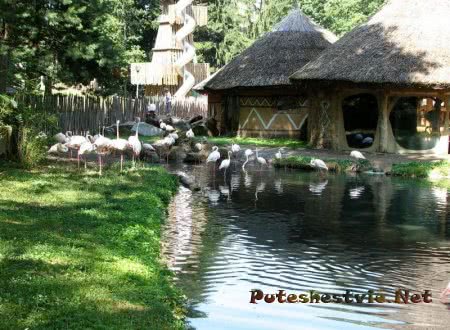 Зоопарк в городе Йиглаве