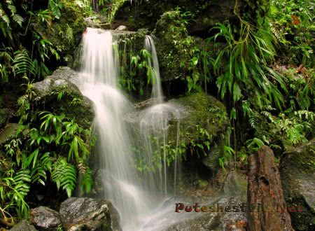 Водопад Мидлхэм Водопад Мидлхэм