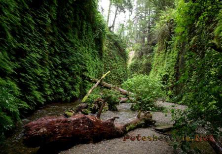 Национальный парк Нозерн Форест Национальный парк Нозерн Форест