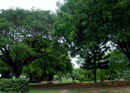 Ботанические сады Розо Ботанические сады Розо