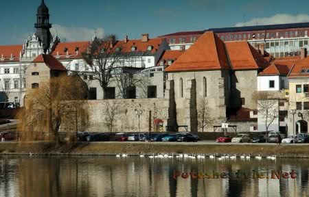 Мариборская синагога