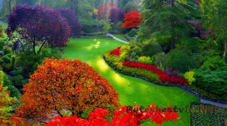 Затерянные сады Хелигана в Великобритании