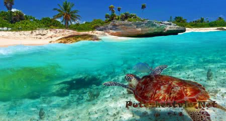 Доминикана Доминикана