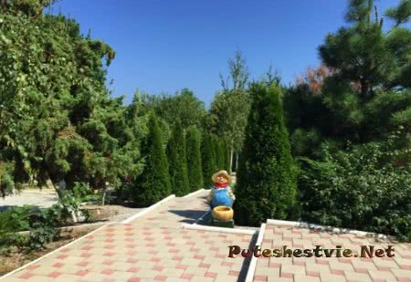 Сосновая роща Сосновая роща