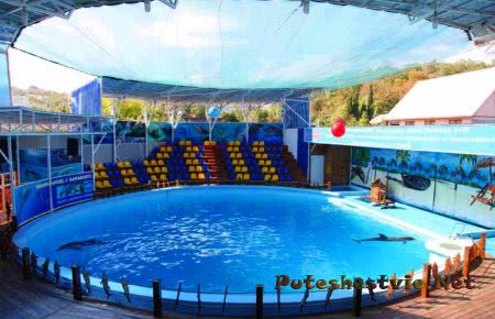 Дельфинарий в Лоо