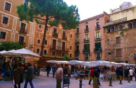 Площадь Сосны