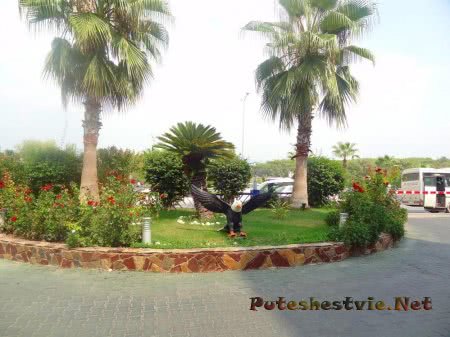 Отель «Holiday Park Resort 5*» в Турции Отель «Holiday Park Resort 5*» в Турции