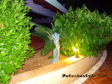Отель «Holiday Park Resort 5*» в Турции Отель «Holiday Park Resort 5*» в Турции