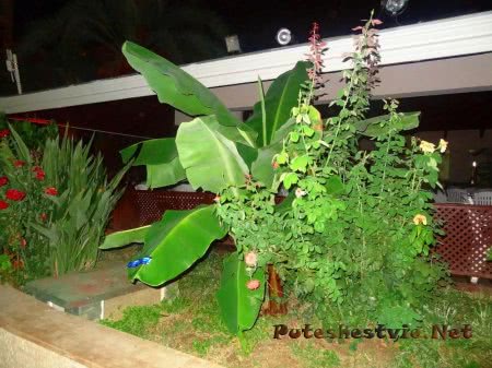 Отель «Holiday Park Resort 5*» в Турции Отель «Holiday Park Resort 5*» в Турции