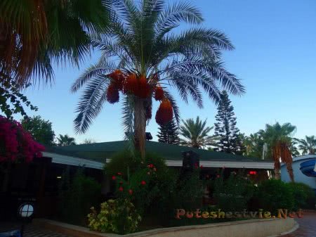 Отель «Holiday Park Resort 5*» в Турции Отель «Holiday Park Resort 5*» в Турции