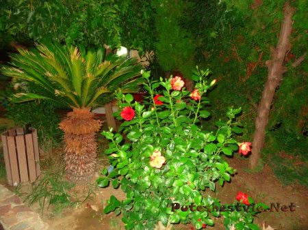 Отель «Holiday Park Resort 5*» в Турции Отель «Holiday Park Resort 5*» в Турции
