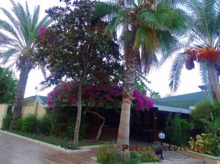 Отель «Holiday Park Resort 5*» в Турции Отель «Holiday Park Resort 5*» в Турции