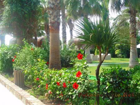 Отель «Holiday Park Resort 5*» в Турции Отель «Holiday Park Resort 5*» в Турции