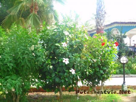 Отель «Holiday Park Resort 5*» в Турции Отель «Holiday Park Resort 5*» в Турции