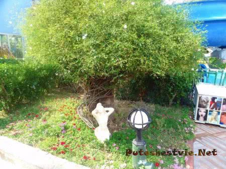 Отель «Holiday Park Resort 5*» в Турции Отель «Holiday Park Resort 5*» в Турции