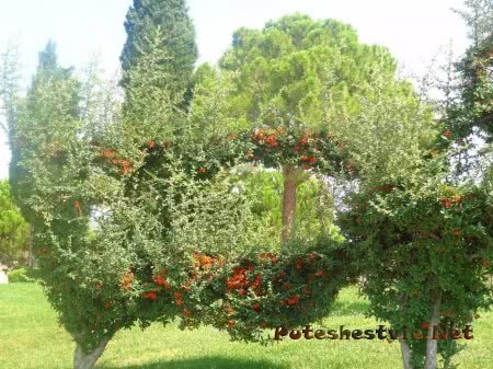 Памуккале в Турции Памуккале в Турции