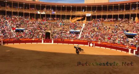 Арена для корриды в Аликанте