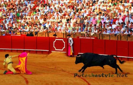 Коррида Коррида