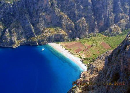 «Долина бабочек» «Долина бабочек»