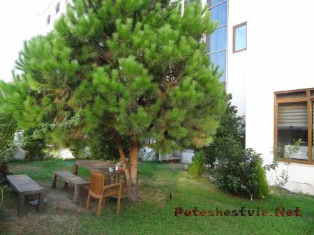 Отель «My Dream 4*» в Мармарисе Отель «My Dream 4*» в Мармарисе