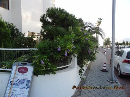 Отель «My Dream 4*» в Мармарисе Отель «My Dream 4*» в Мармарисе