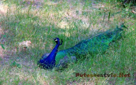 Парк Сама в Испании