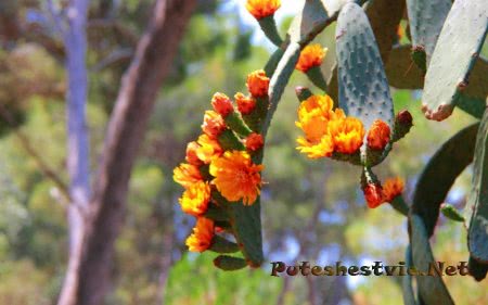 Парк Сама в Испании