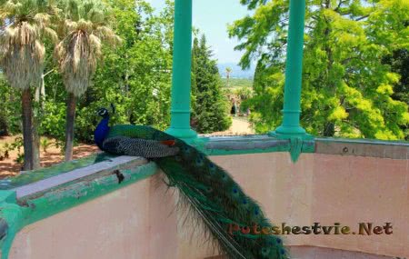 Парк Сама в Испании