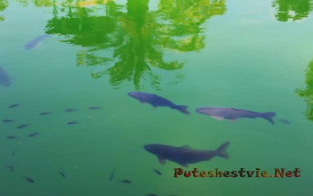 Парк Сама в Испании