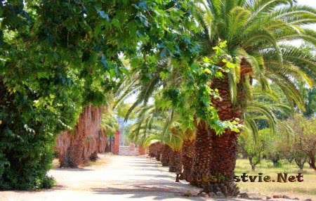 Парк Сама в Испании