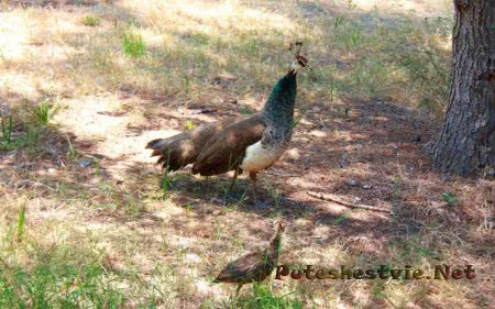 Парк Сама в Испании