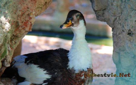 Парк Сама в Испании