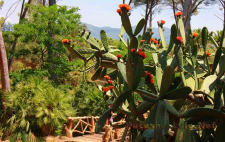 Парк Сама в Испании