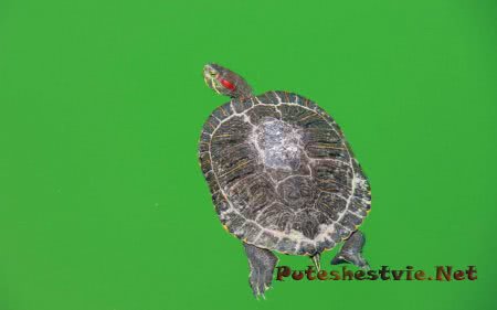 Парк Сама в Испании