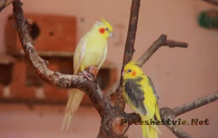 Парк Сама в Испании