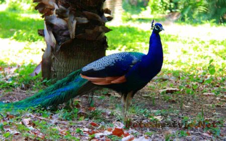 Парк Сама в Испании