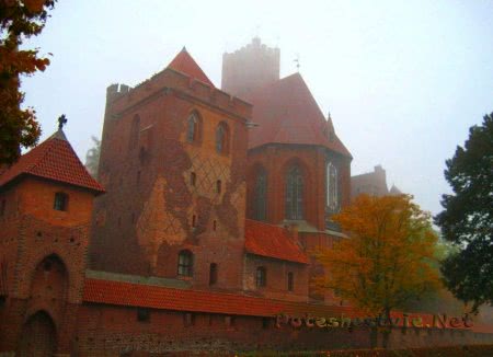 Замок Мальборк в Польше