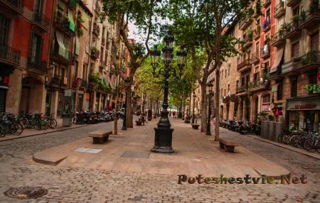 Район Эль Борн