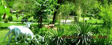 Курорт «Керемет Резорт» Курорт «Керемет Резорт»