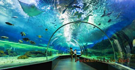 Морской парк «Манила Оушен Парк» Морской парк «Манила Оушен Парк»