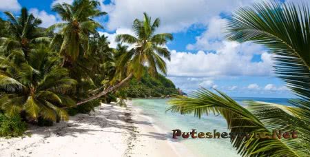 Отдых на Сейшелах