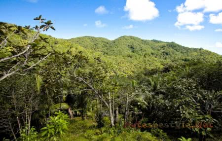 Отдых на Сейшелах