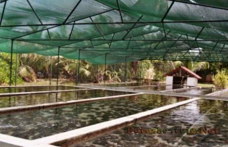 Отдых на Сейшелах