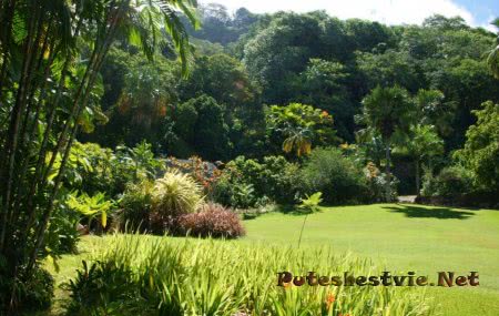 Отдых на Сейшелах